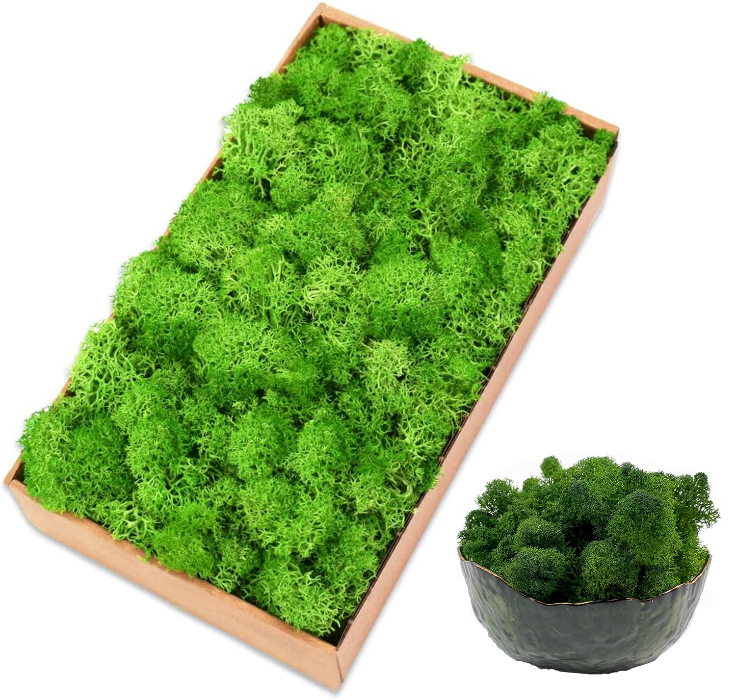 Sphagnum Moss Dry - Eternal Life Moss Artificial Green Plants
