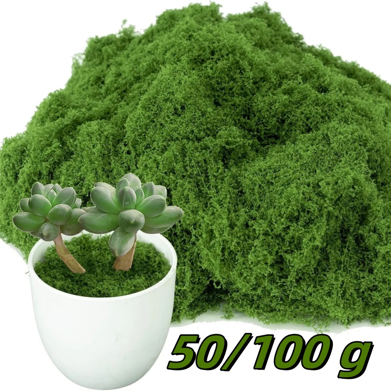 Sphagnum Moss Dry - 50/100g Simulation Moss Artificial Moss Green