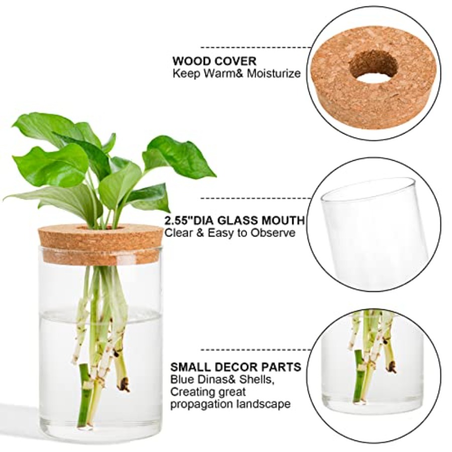 3 Pcs Plant Terrarium Propagat - Propagation Station Vase のレビューと価格
