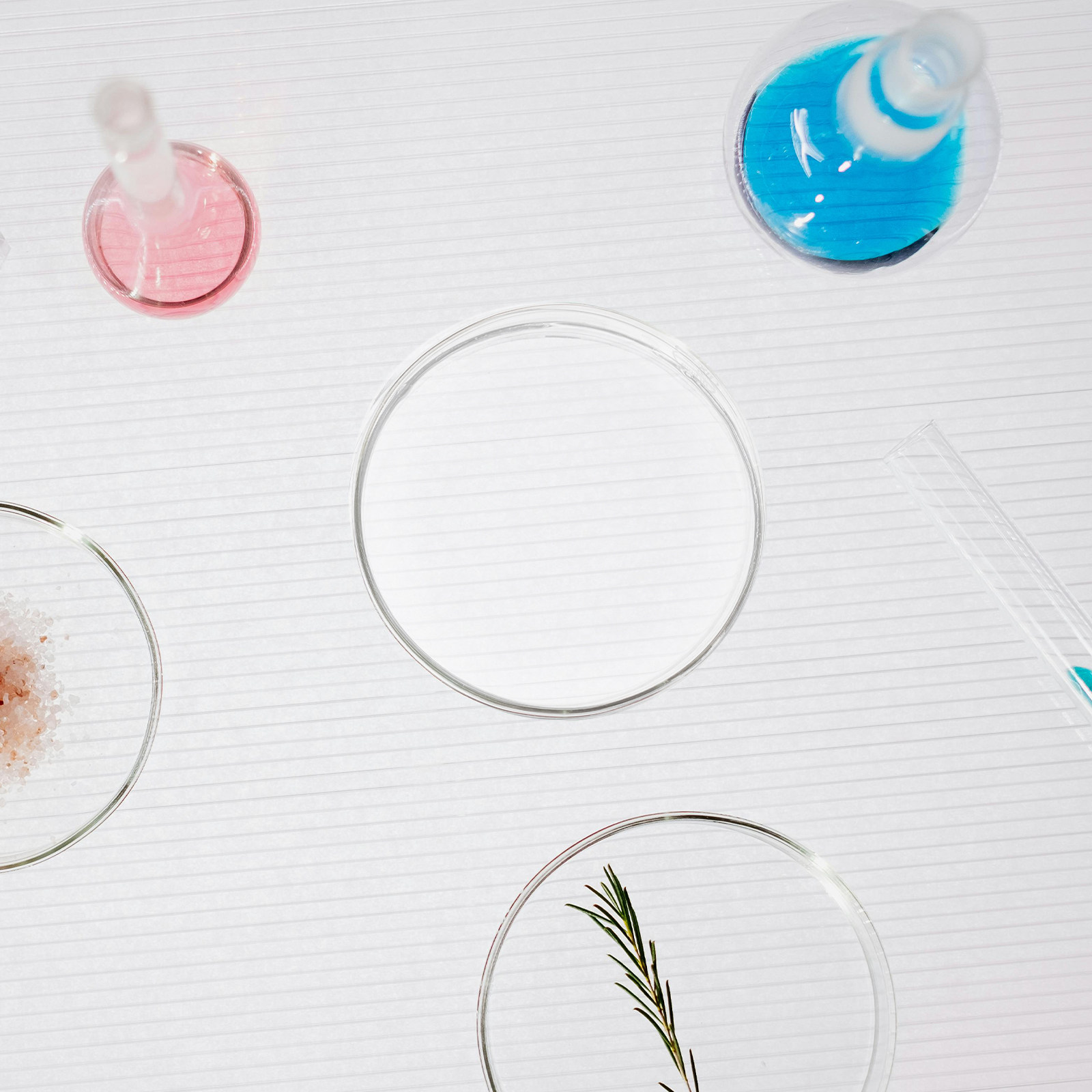 Glass Petri Dish Laboratory Fl - Agar Tissue Culture のレビューと価格