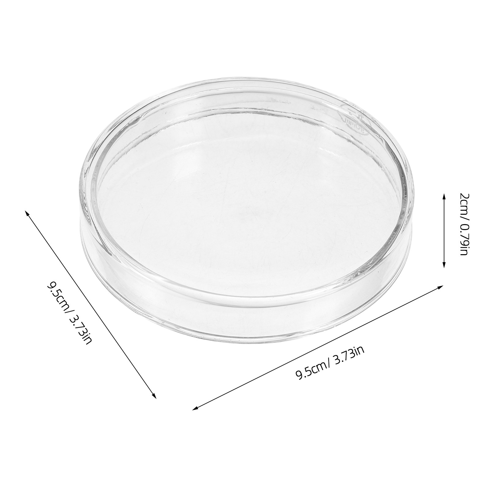 Glass Petri Dish Laboratory Fl - Agar Tissue Culture のレビューと価格