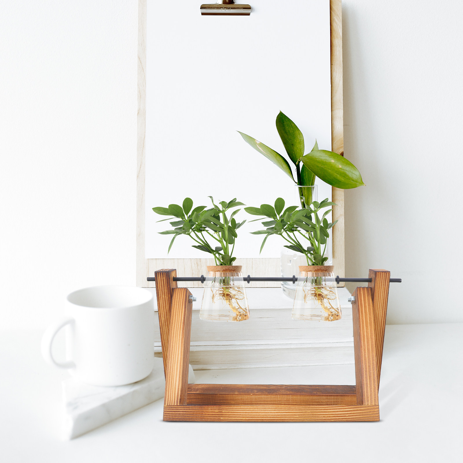 Hydroponic Propagating Jars Ho - Propagation Station Vase のレビューと価格