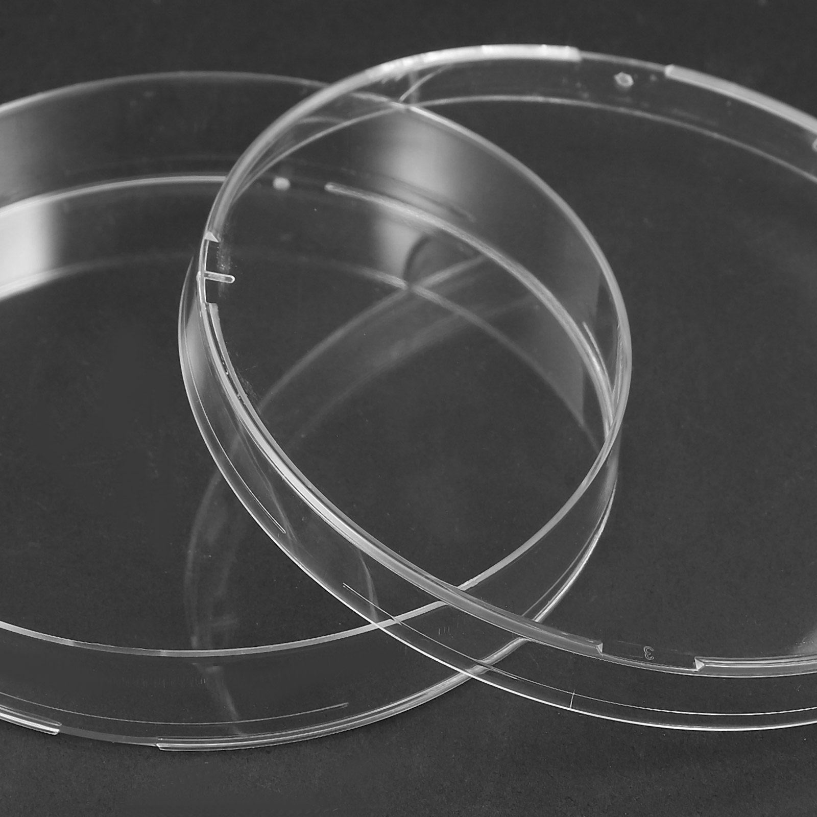 20Pcs Clear Sterile Petri Dish - Agar Tissue Culture のレビューと価格