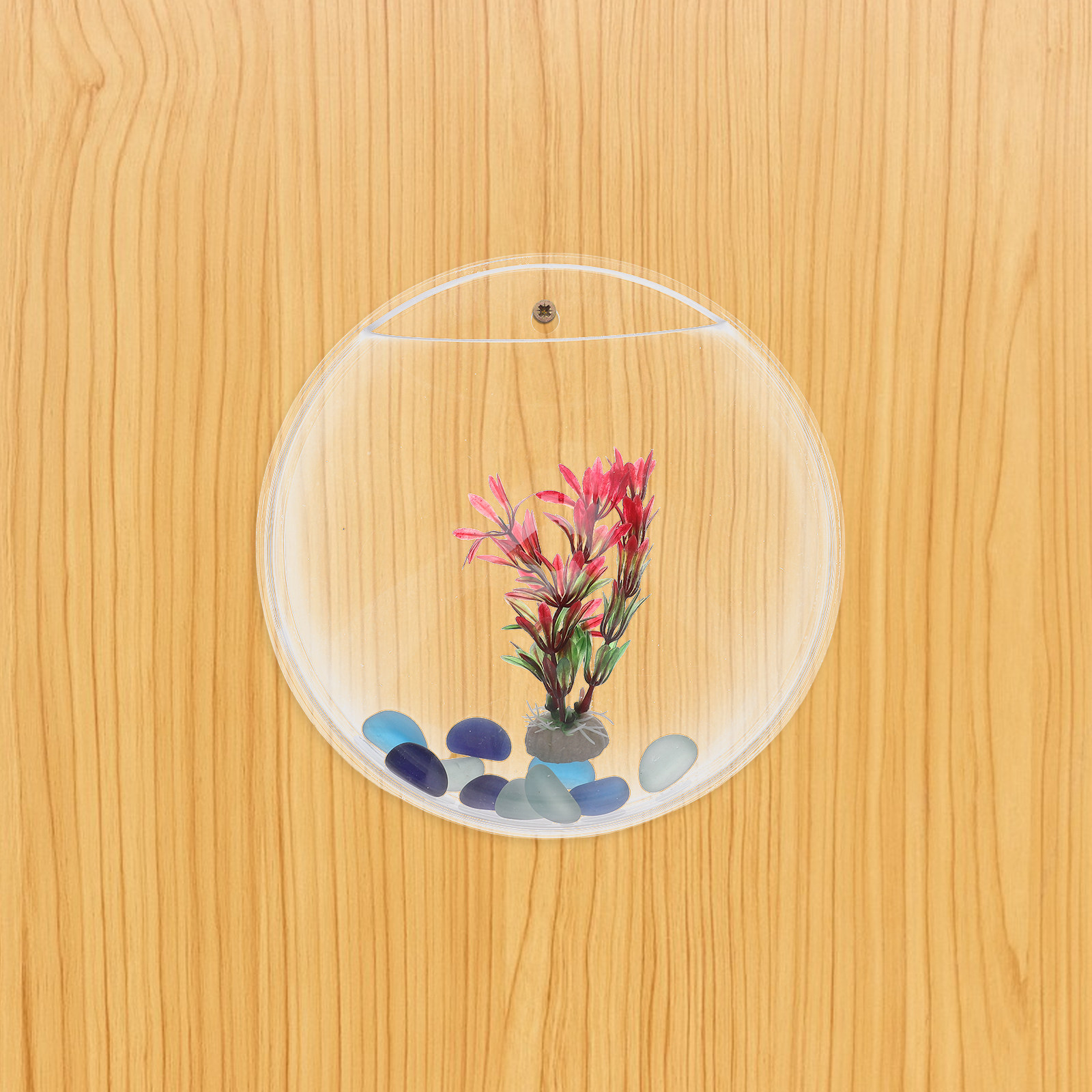 1Set Wall-Mounted Fish Tank 23 - Propagation Station Vase のレビューと価格