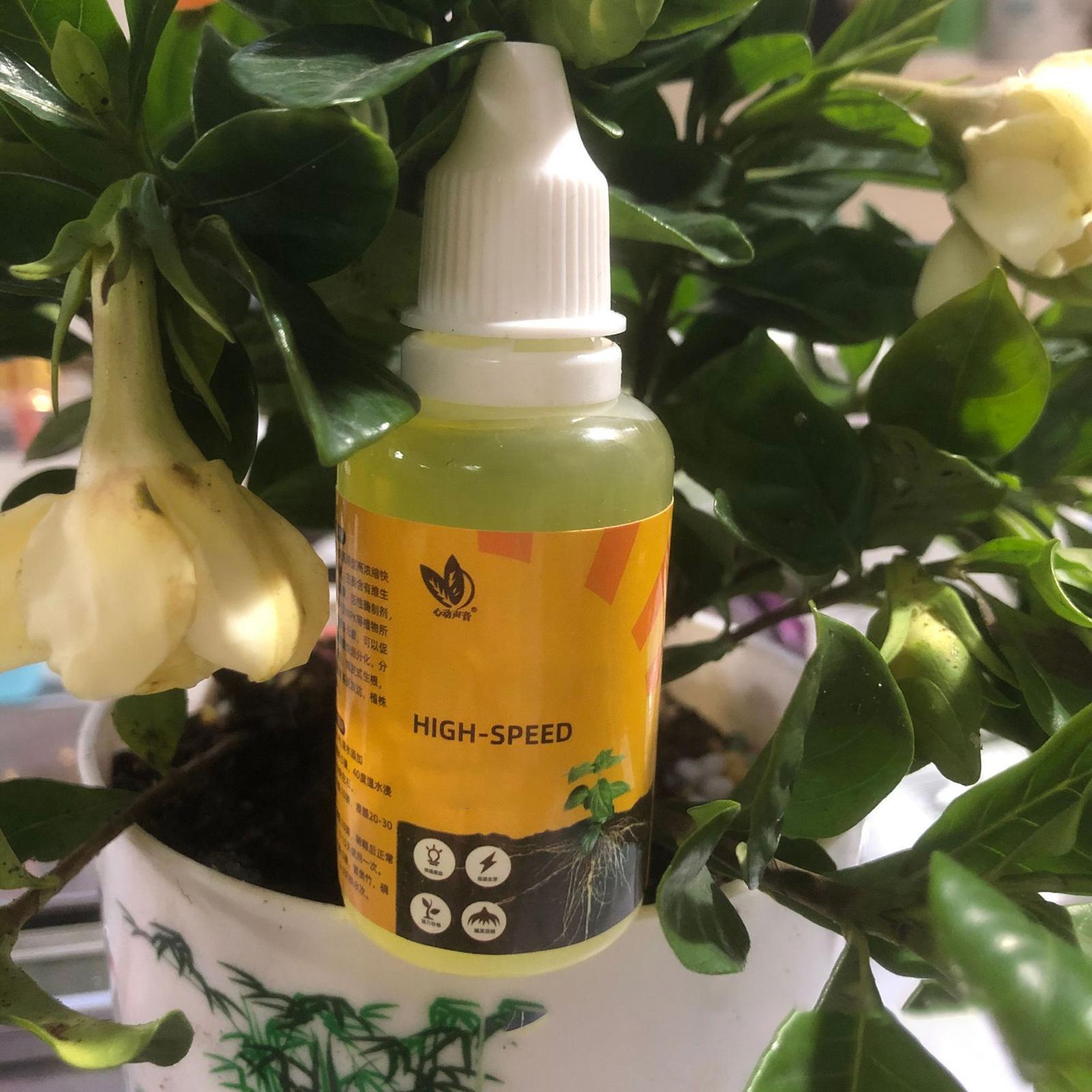 50ml Plant Rooting Stimulator  - Root Stimulator Liquid のレビューと価格