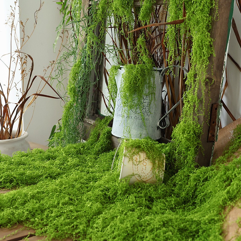 Wholesale Artificial Green Ete - Sphagnum Moss Dry のレビューと価格