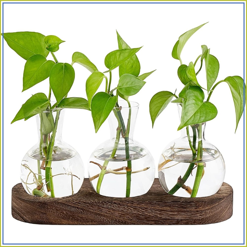 Desktop Plant Propagation Stat - Propagation Station Vase のレビューと価格