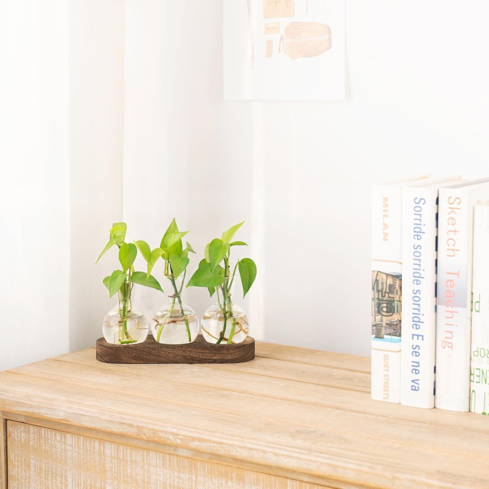 Desktop Plant Propagation Stat - Propagation Station Vase のレビューと価格