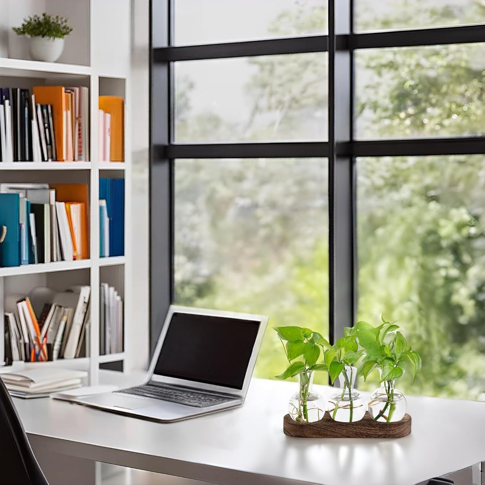 Desktop Plant Propagation Stat - Propagation Station Vase のレビューと価格