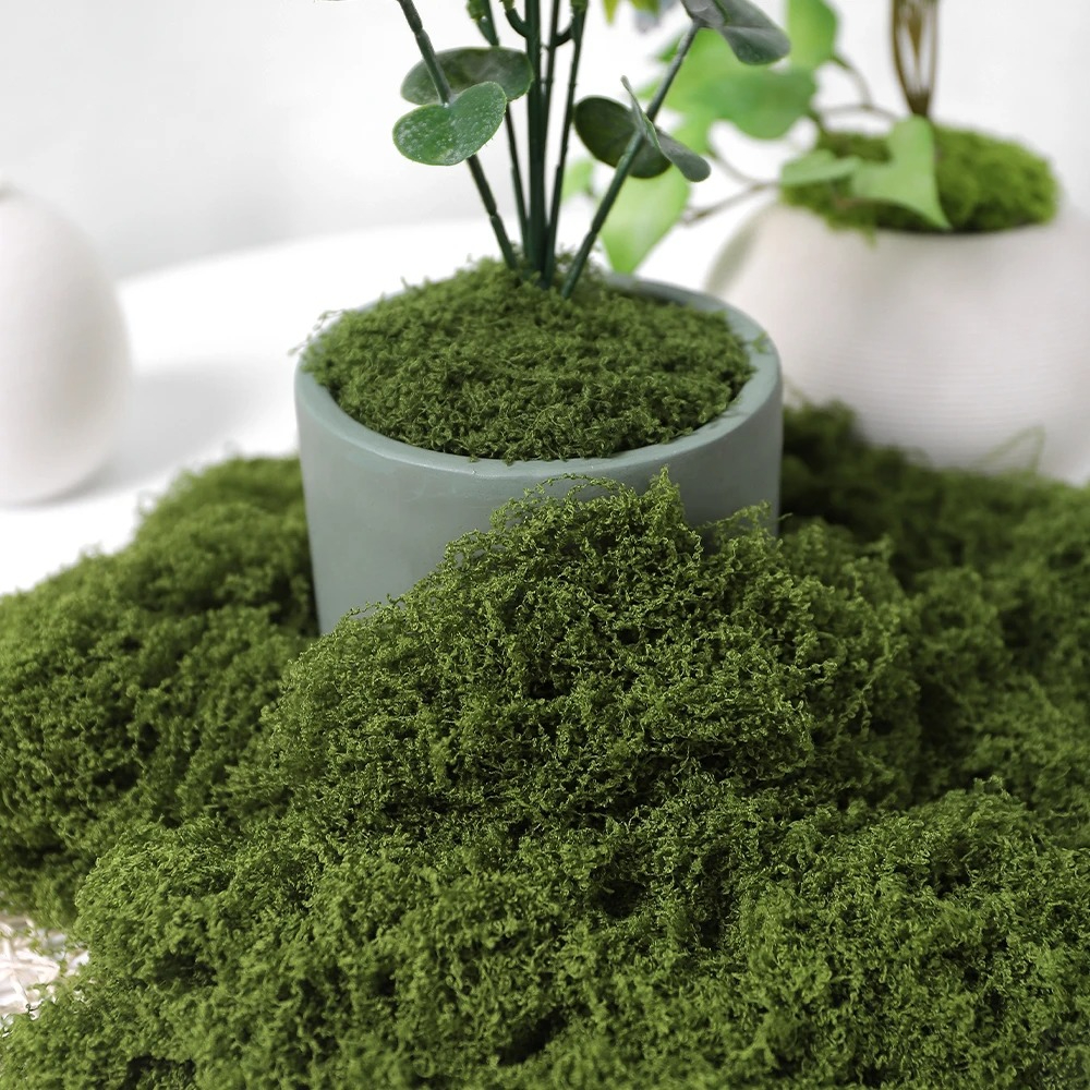 30/50/100g Artificial Green Pl - Sphagnum Moss Dry のレビューと価格