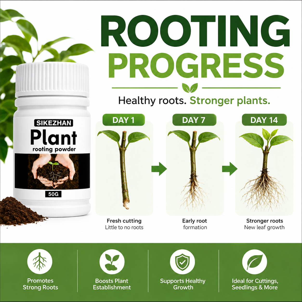 50g Rapid Rooting Powder Plant - Rooting Hormone Powder のレビューと価格