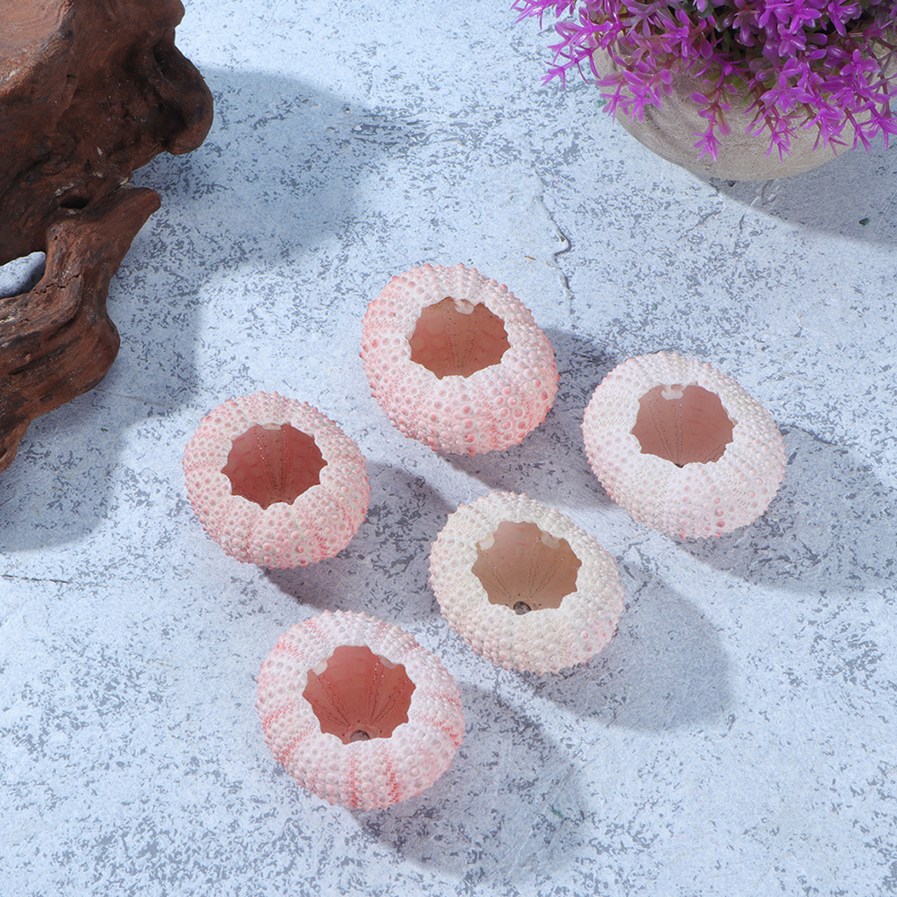 10Pcs DIY Jewelry Making Sea S - Propagation Station Vase のレビューと価格