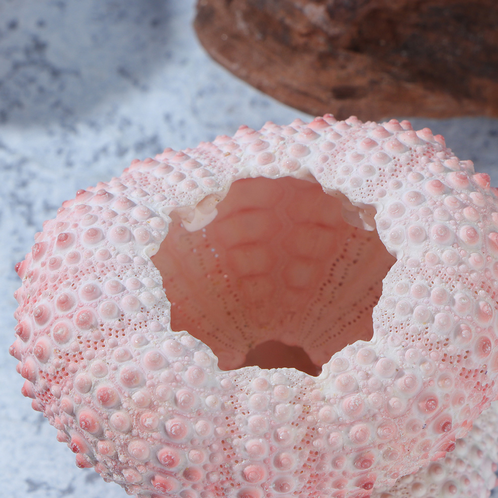 10Pcs DIY Jewelry Making Sea S - Propagation Station Vase のレビューと価格