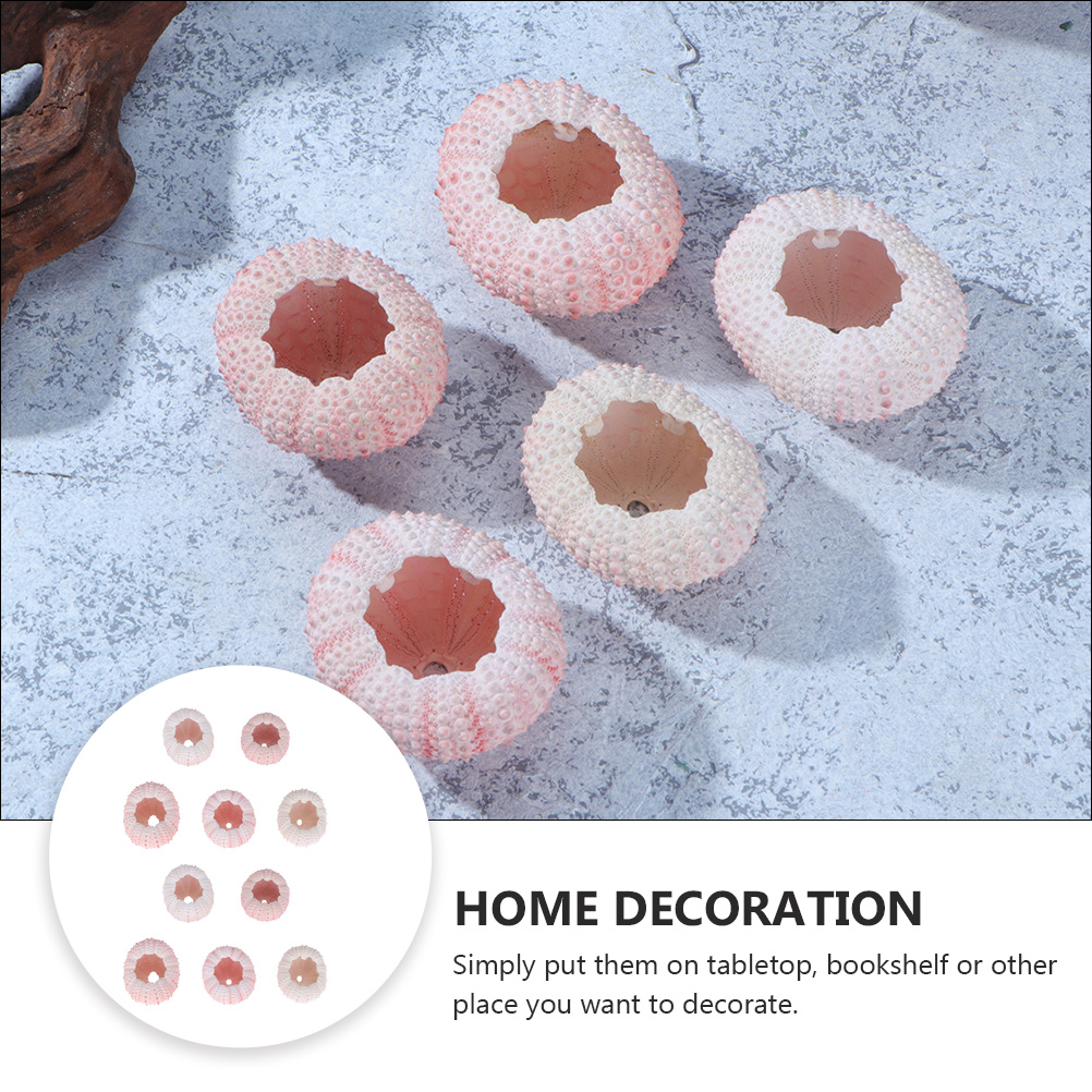10Pcs DIY Jewelry Making Sea S - Propagation Station Vase のレビューと価格