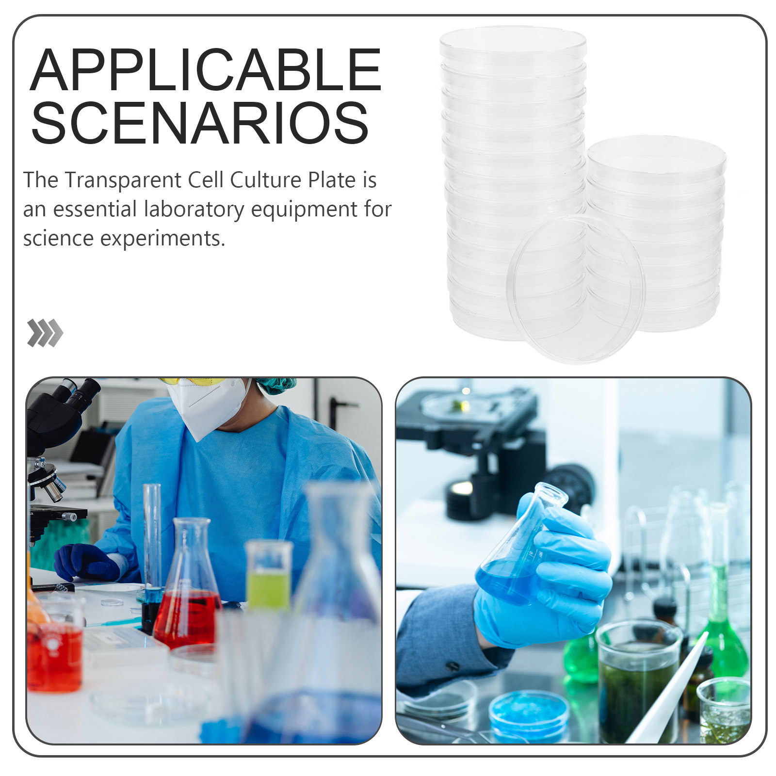 20Pcs Clear Sterile Petri Dish - Agar Tissue Culture のレビューと価格