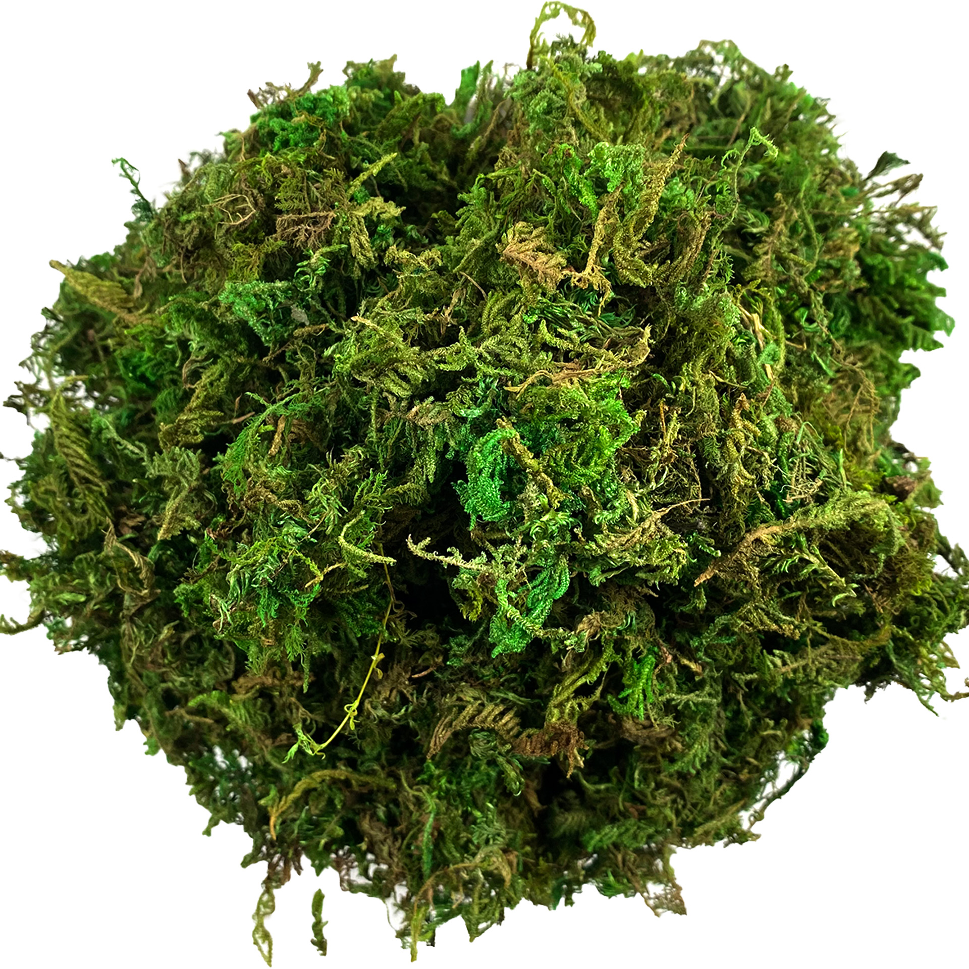 Artificial Moss Green for Pott - Sphagnum Moss Dry のレビューと価格