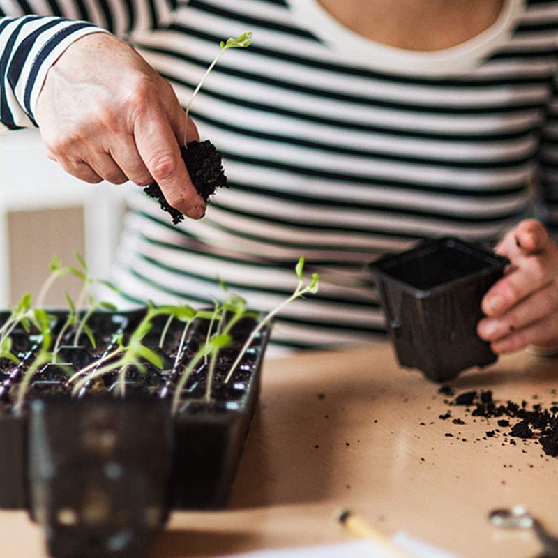 Starter10 Pack Seed Tray, 72 C - Propagation Tray 72 のレビューと価格