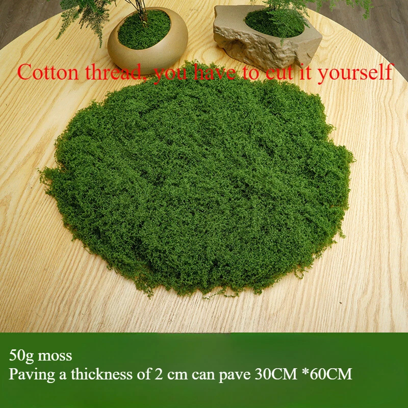 50/100g Simulation Moss Artifi - Sphagnum Moss Dry のレビューと価格