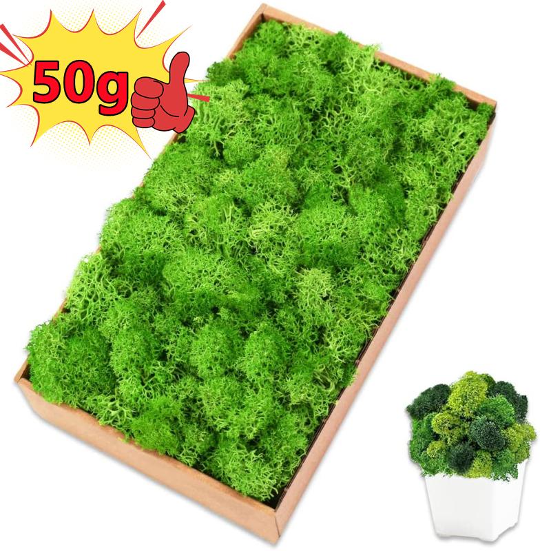 New 50/30/10g Artificial Green - Sphagnum Moss Dry のレビューと価格