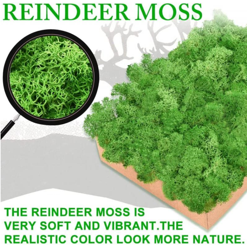New 50/30/10g Artificial Green - Sphagnum Moss Dry のレビューと価格