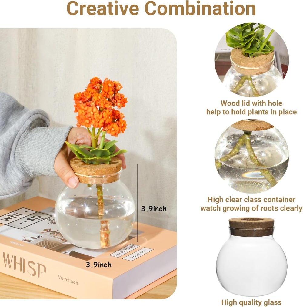 Hydroponic Plant Propagation S - Propagation Station Vase のレビューと価格