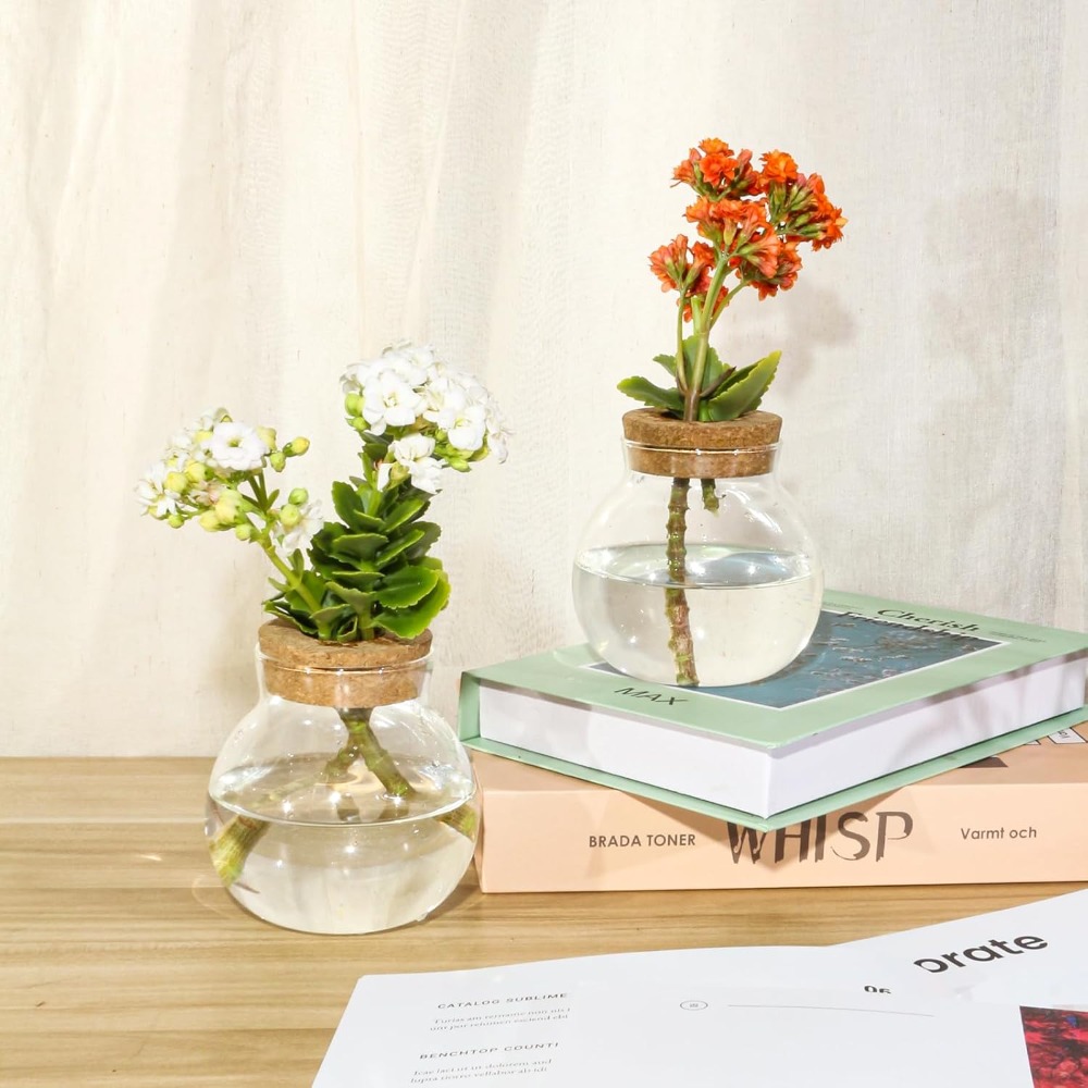 Hydroponic Plant Propagation S - Propagation Station Vase のレビューと価格