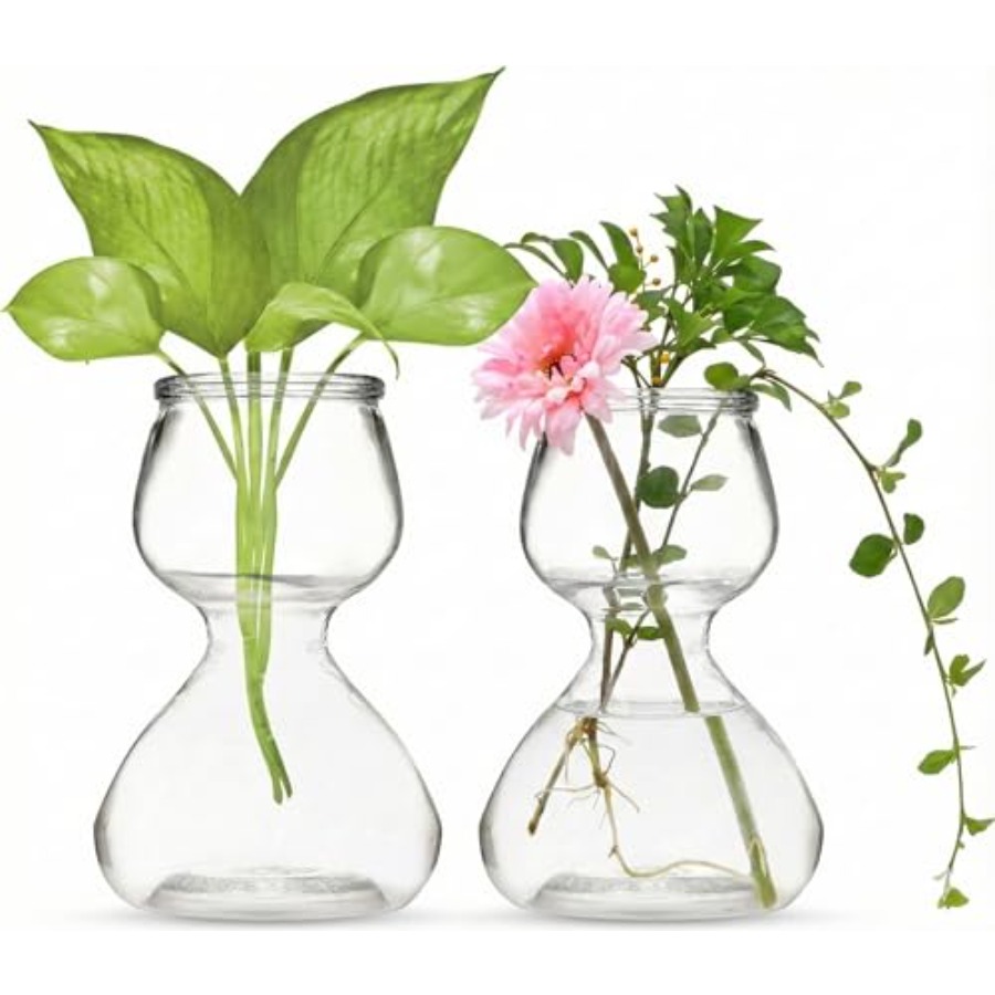Garden Guru Plant Propagation  - Propagation Station Vase のレビューと価格