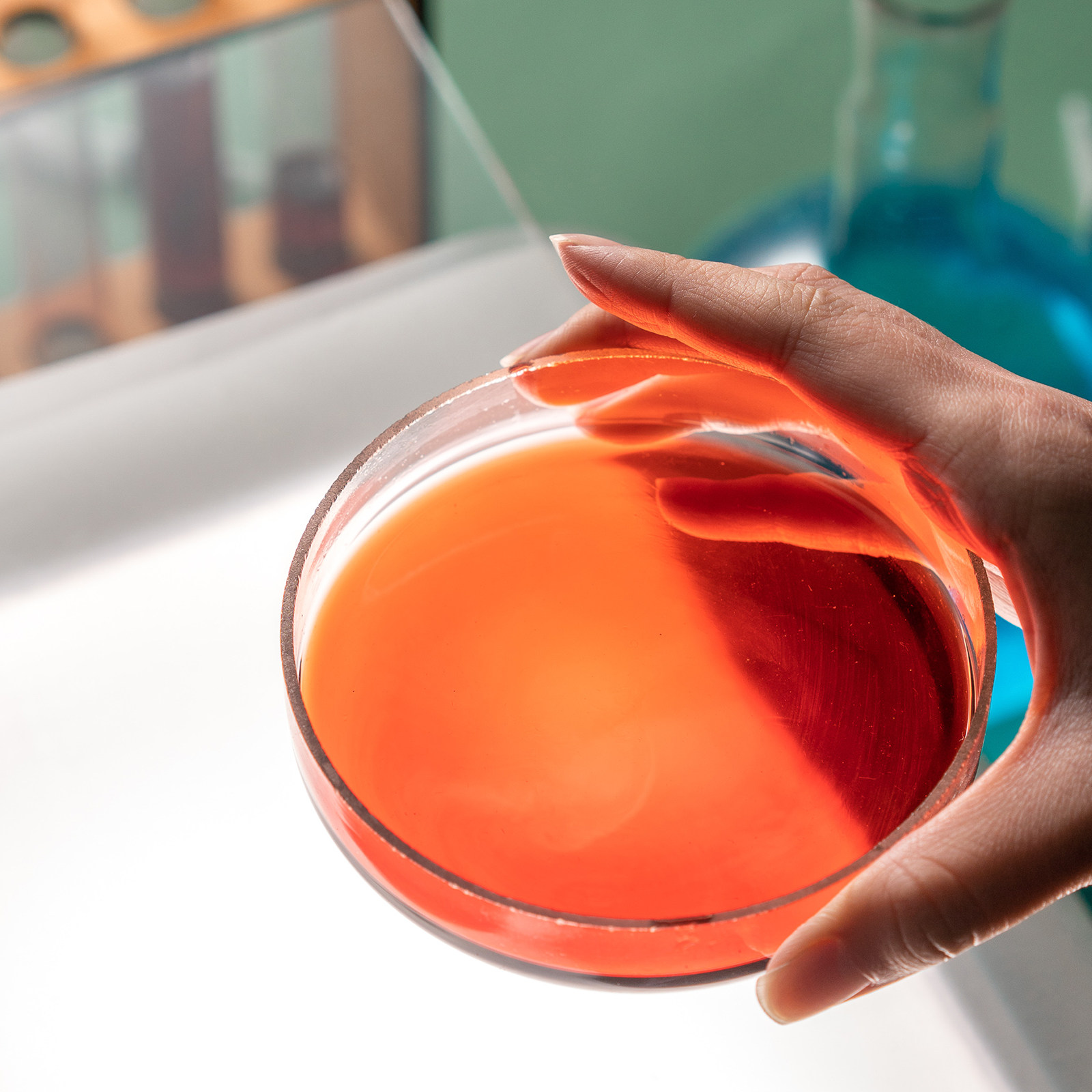 Laboratory Glass Petri Dish Fl - Agar Tissue Culture のレビューと価格