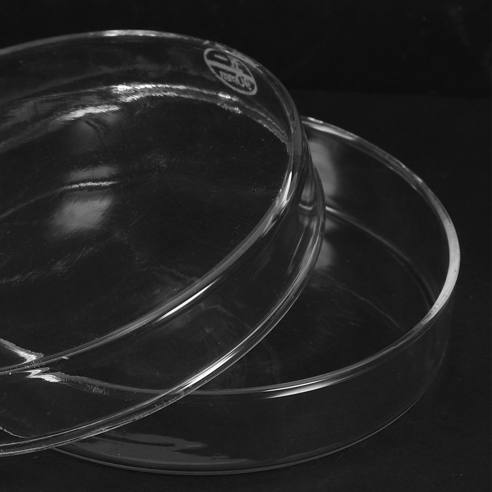 Laboratory Glass Petri Dish Fl - Agar Tissue Culture のレビューと価格