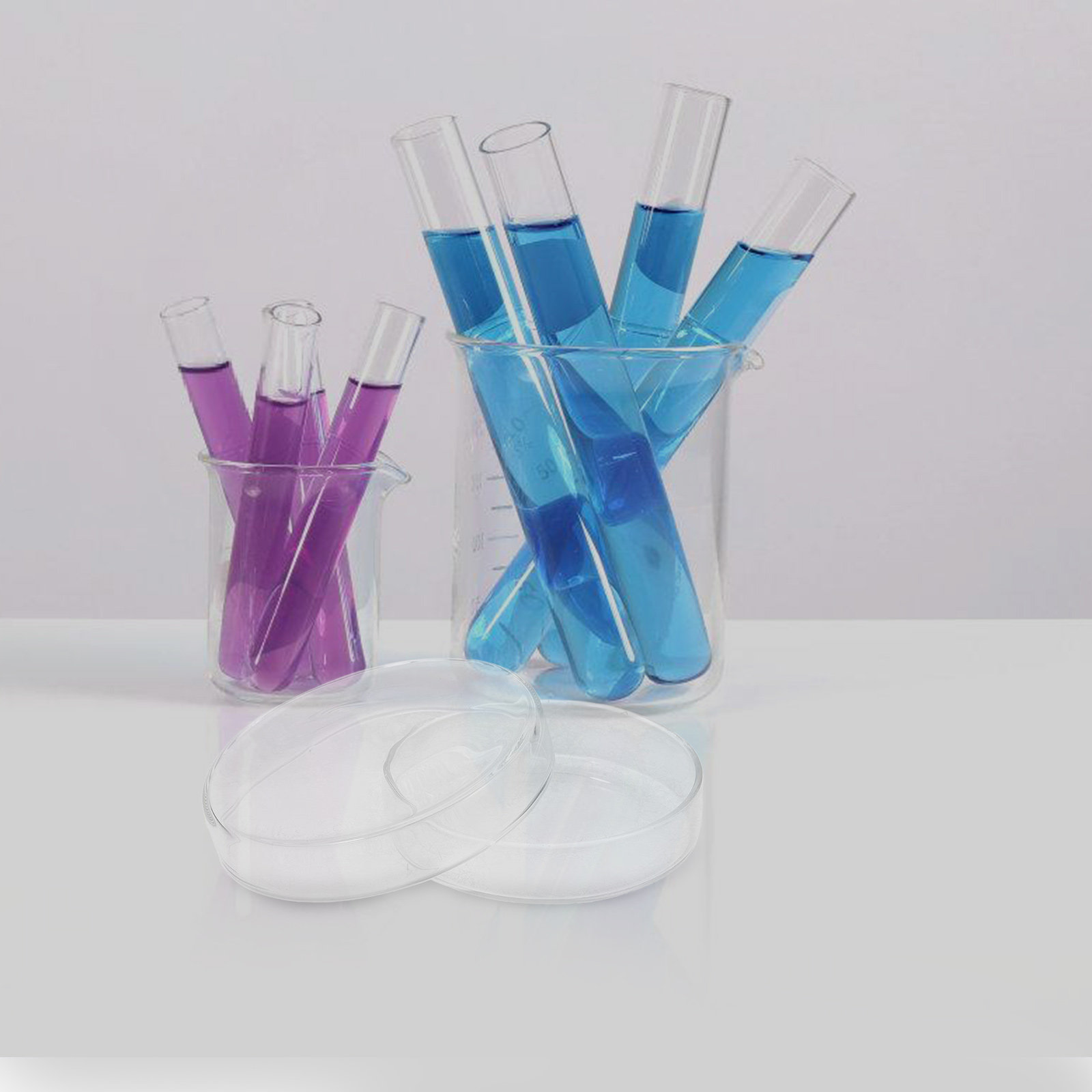 Glass Petri Dish High Borosili - Agar Tissue Culture のレビューと価格