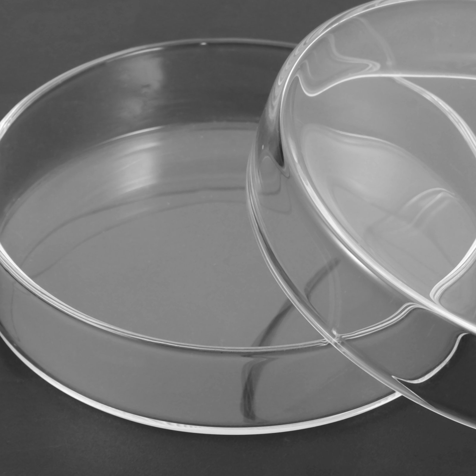 Glass Petri Dish High Borosili - Agar Tissue Culture のレビューと価格
