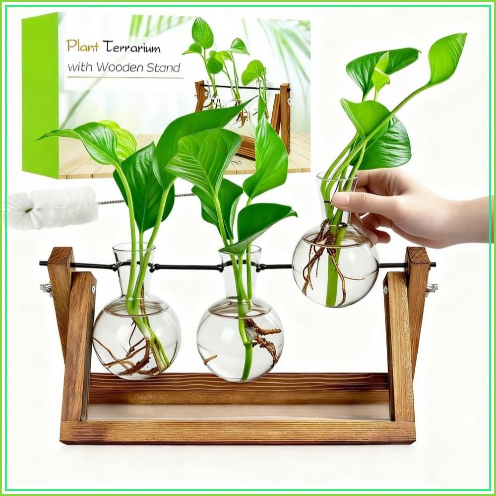 Plant Propagation Station with - Propagation Station Vase のレビューと価格