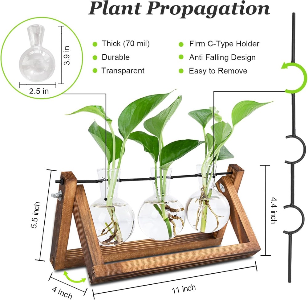 Plant Propagation Station with - Propagation Station Vase のレビューと価格