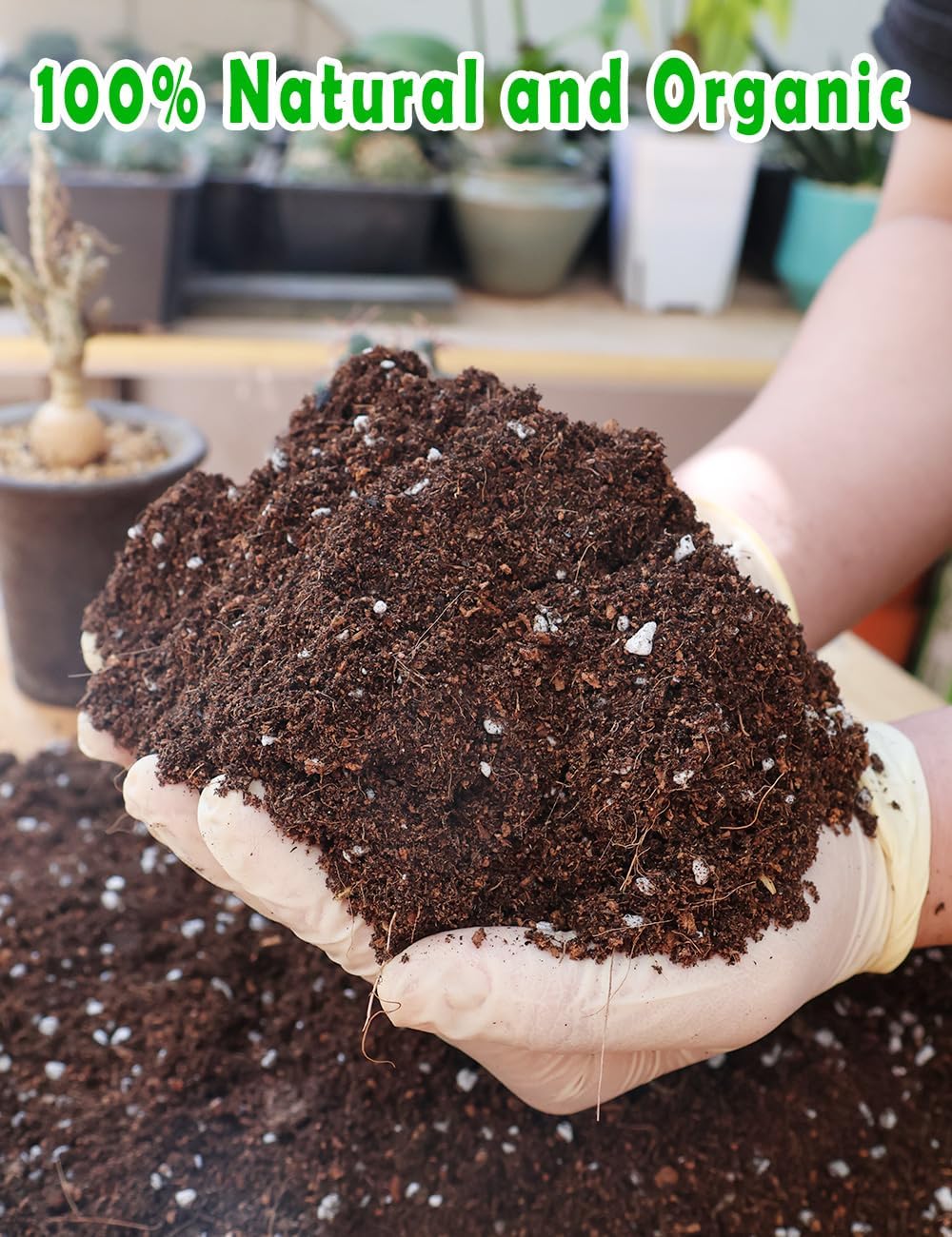 Potting Soil for All Indoor Ho - Coco Perlite Mix のレビューと価格