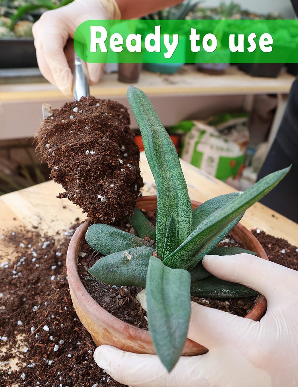 Potting Soil for All Indoor Ho - Coco Perlite Mix のレビューと価格