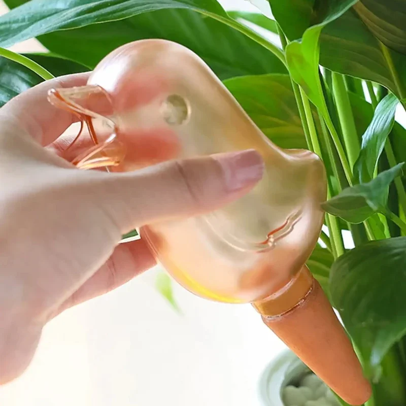 High quality automatic flower  - Self Watering Insert のレビューと価格