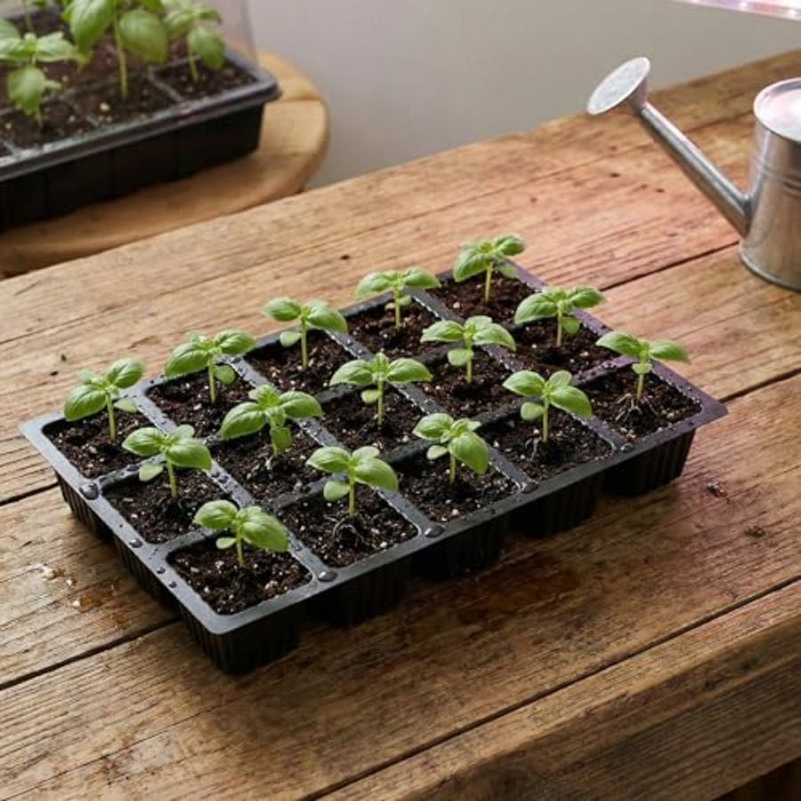 5-Set Seed Starter Tray Kits D - Humidity Dome Kit のレビューと価格