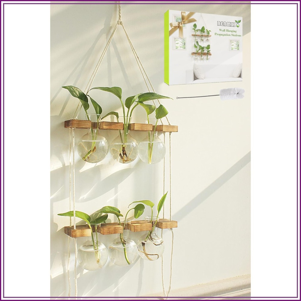 Wall Hanging Plant Propagation - Propagation Station Vase のレビューと価格