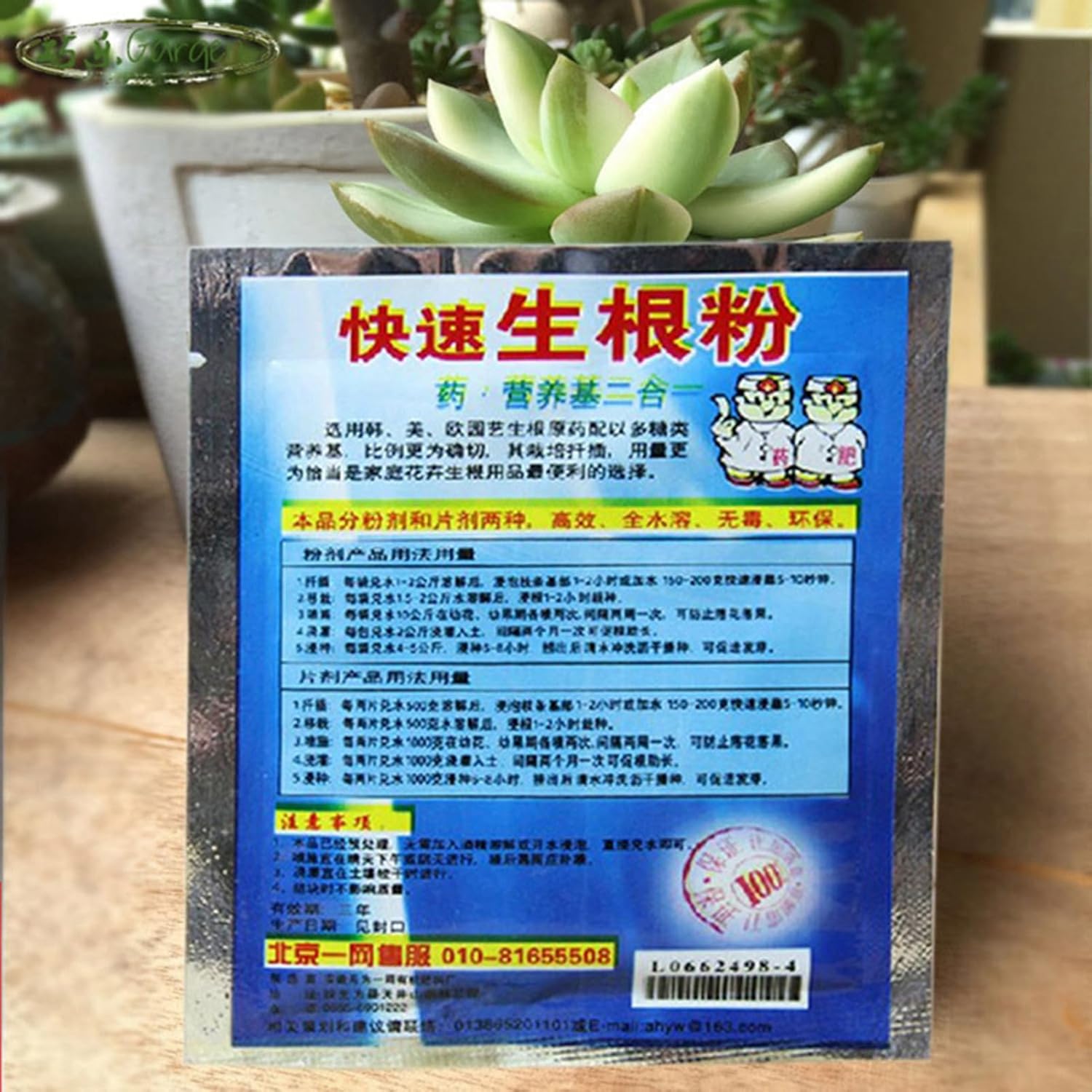 10 Bag 10g Rooting Powder for  - Rooting Hormone Powder のレビューと価格