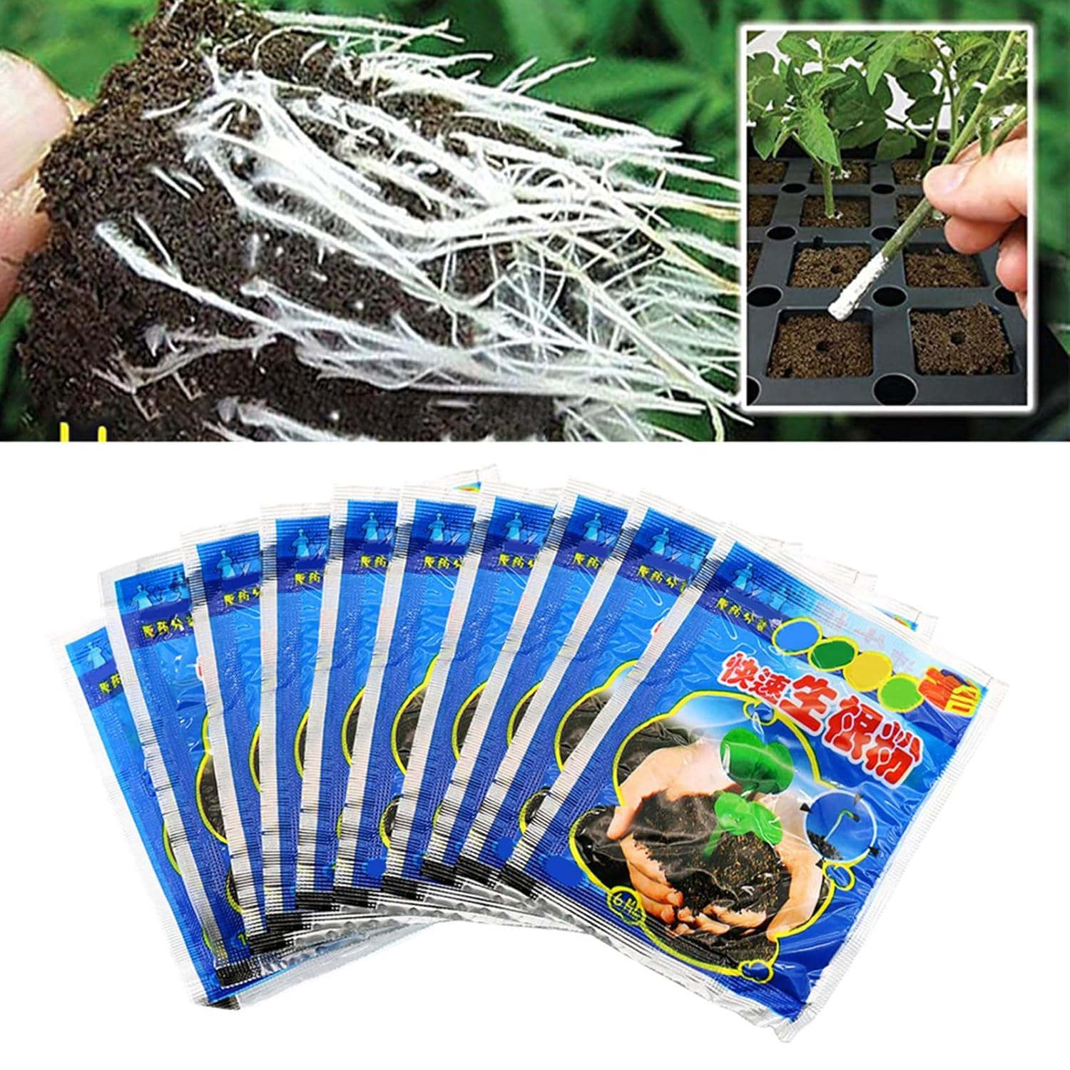 10 Bag 10g Rooting Powder for  - Rooting Hormone Powder のレビューと価格