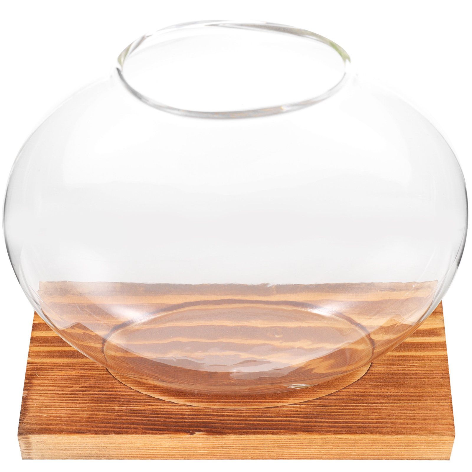 Glass Hydroponic Plant Vase wi - Propagation Station Vase のレビューと価格