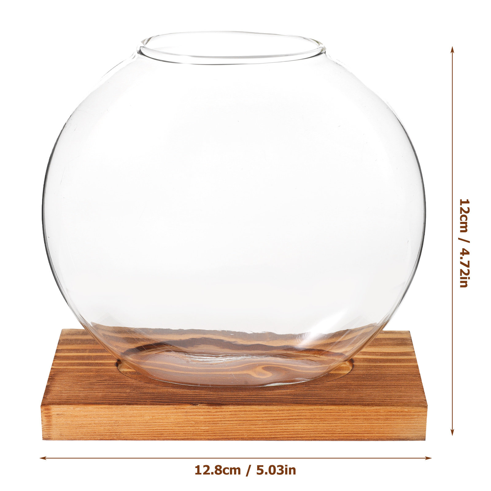 Glass Hydroponic Plant Vase wi - Propagation Station Vase のレビューと価格