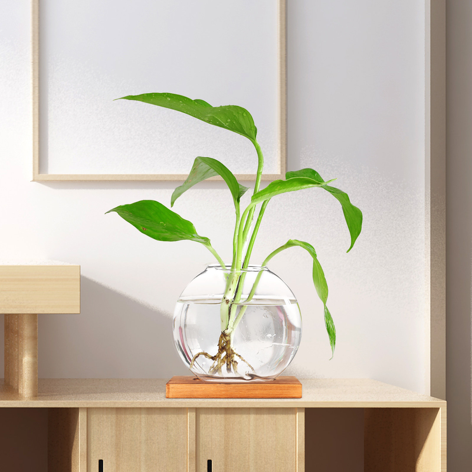 Glass Hydroponic Plant Vase wi - Propagation Station Vase のレビューと価格
