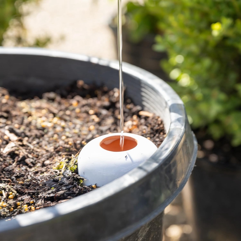 Plant Watering Ball, Terracott - Self Watering Insert のレビューと価格